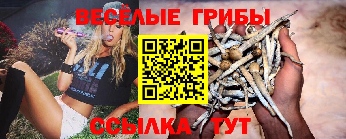 Похвистнево  Галлюциногенные грибы прущие грибы  Вход с VPN 